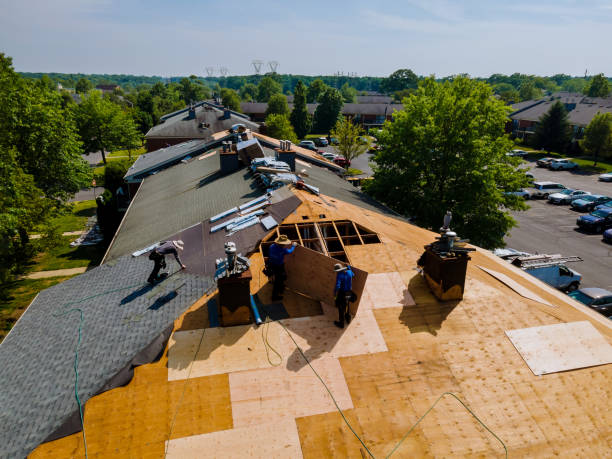 Best Roof Gutter Cleaning  in Maysville, GA
