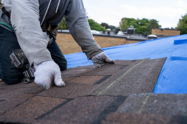 Best Commercial Roofing Services  in Maysville, GA