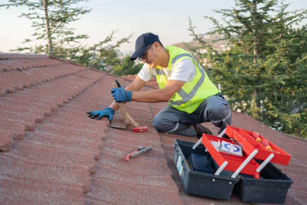 Best Roof Maintenance Services  in Maysville, GA